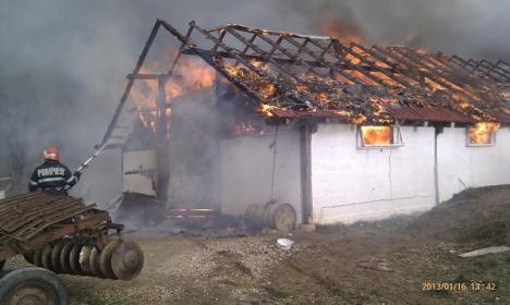 Şase vite şi două oi au ars de vii, după ce un adăpost de animale din Finiş a luat foc (VIDEO)